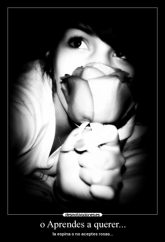 carteles michid desmotivaciones