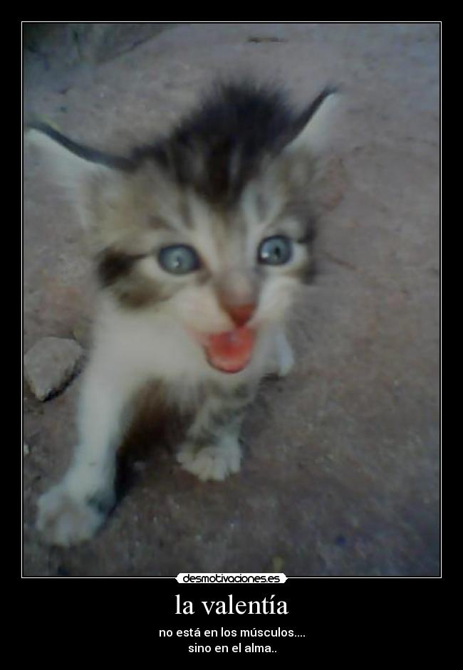 la valentía - no está en los músculos....
sino en el alma..