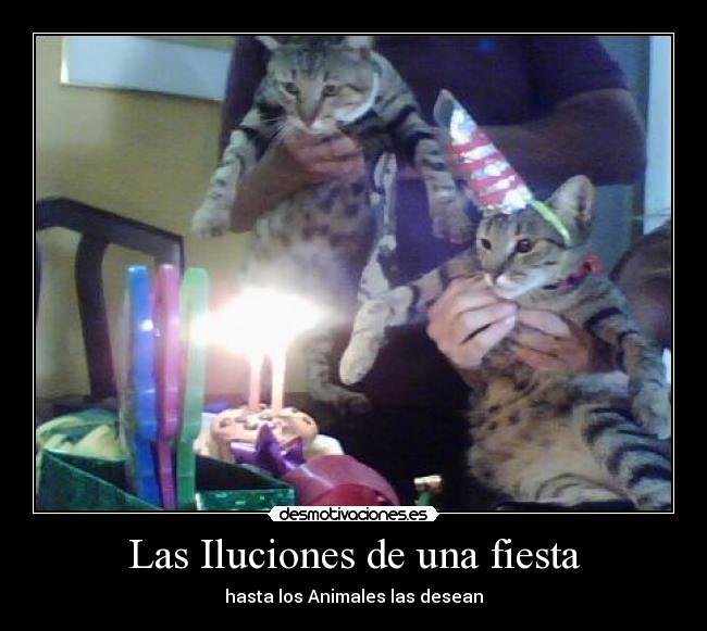 Las Iluciones de una fiesta -
