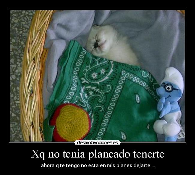 Xq no tenia planeado tenerte -
