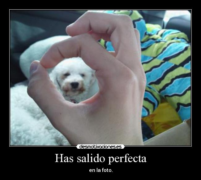 Has salido perfecta -