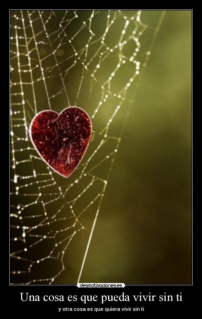 Una cosa es que pueda vivir sin ti - 