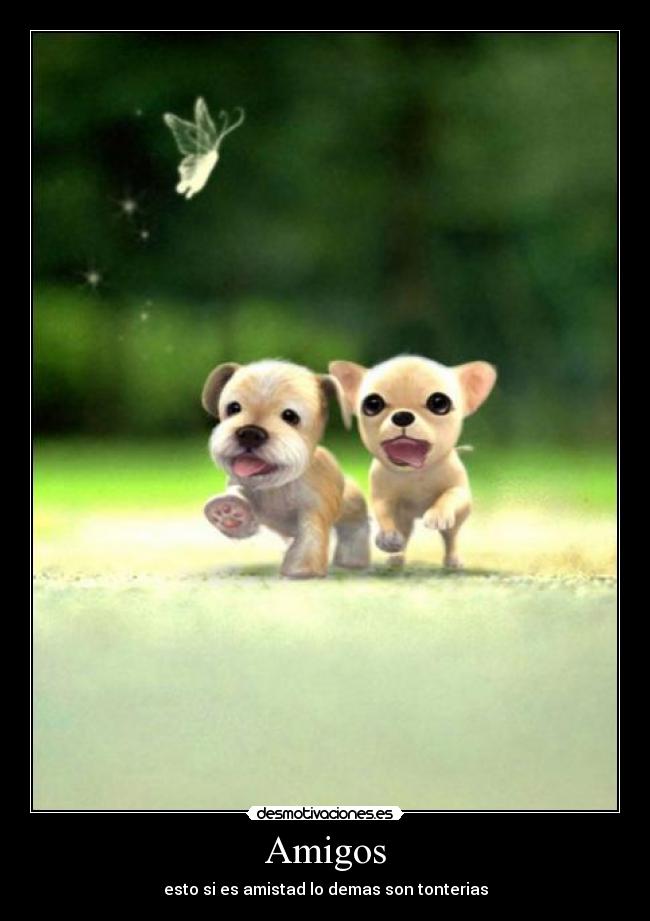 Amigos -