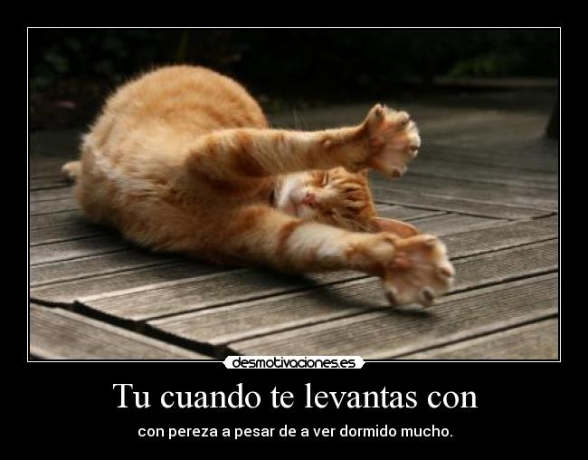 Tu cuando te levantas con -
