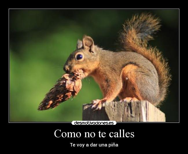 Como no te calles - 