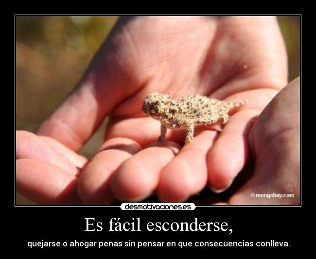 Es fácil esconderse, - 
