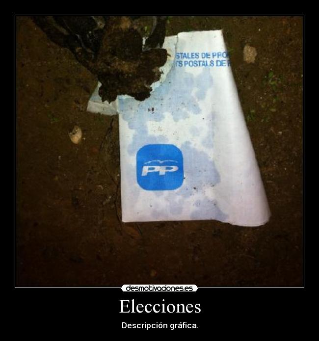 Elecciones - 