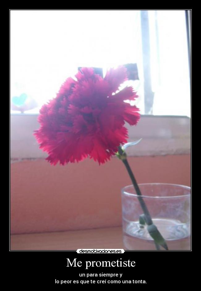 Me prometiste - un para siempre y
lo peor es que te creí como una tonta.