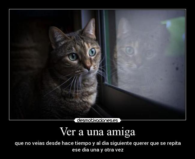 Ver a una amiga - que no veias desde hace tiempo y al dia siguiente querer que se repita
ese dia una y otra vez
