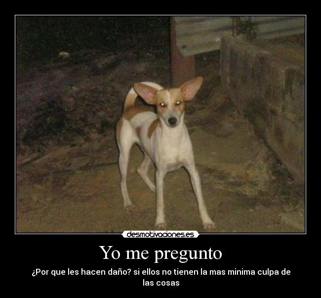 carteles pregunto desmotivaciones