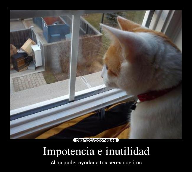 Impotencia e inutilidad - 