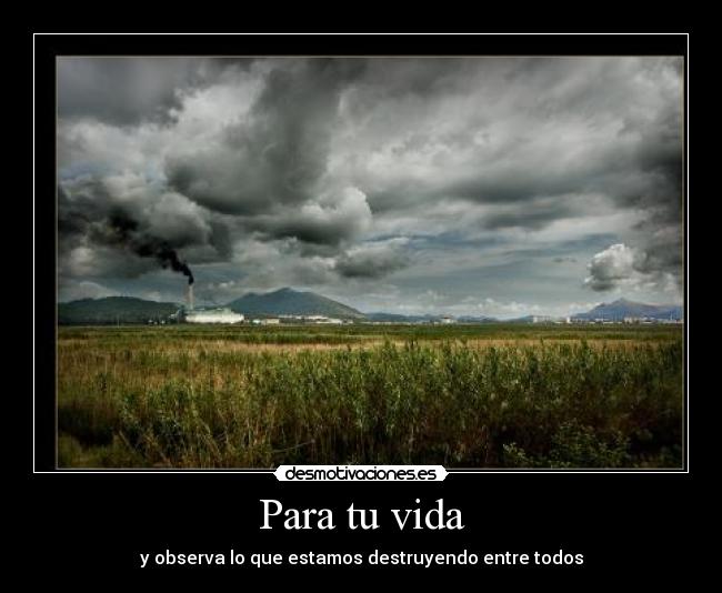 Para tu vida - y observa lo que estamos destruyendo entre todos