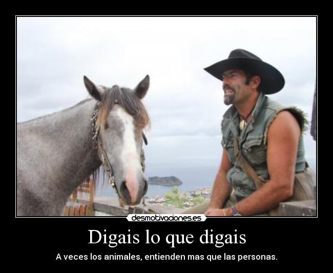 Digais lo que digais - A veces los animales, entienden mas que las personas.