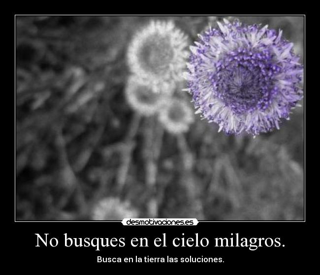 No busques en el cielo milagros. - Busca en la tierra las soluciones.