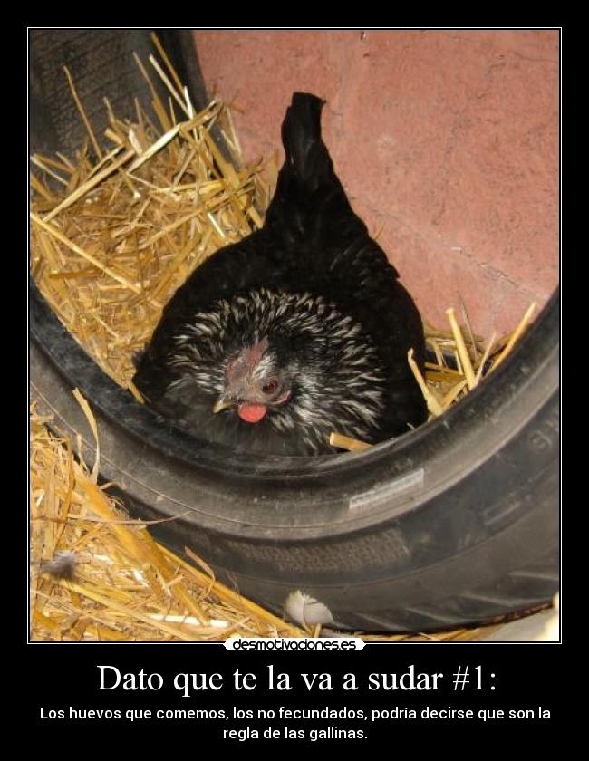 carteles esta una esas etiquetas estupidas que hacen perder tiempo desmotivaciones