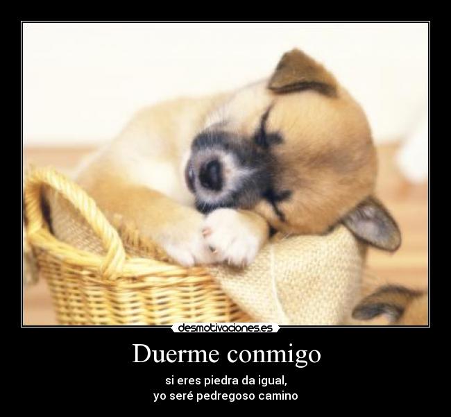 Duerme conmigo - si eres piedra da igual,
yo seré pedregoso camino