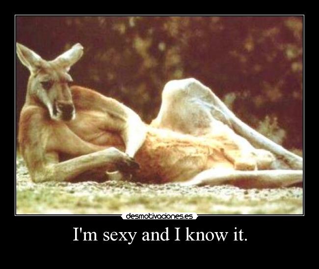 Im sexy and I know it. - 