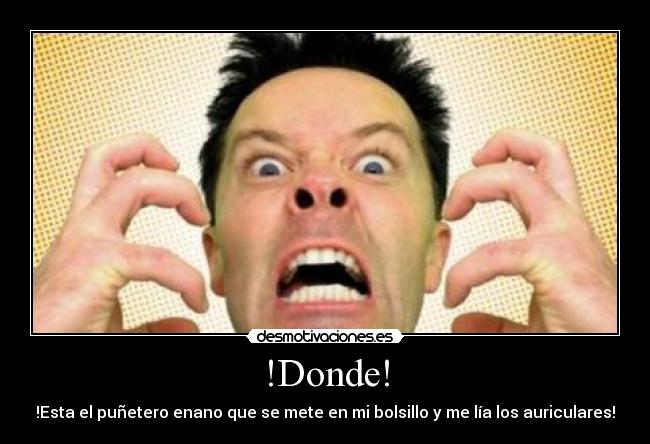 !Donde! - 