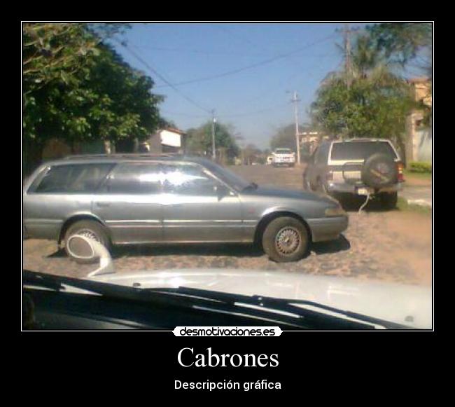 Cabrones - Descripción gráfica
