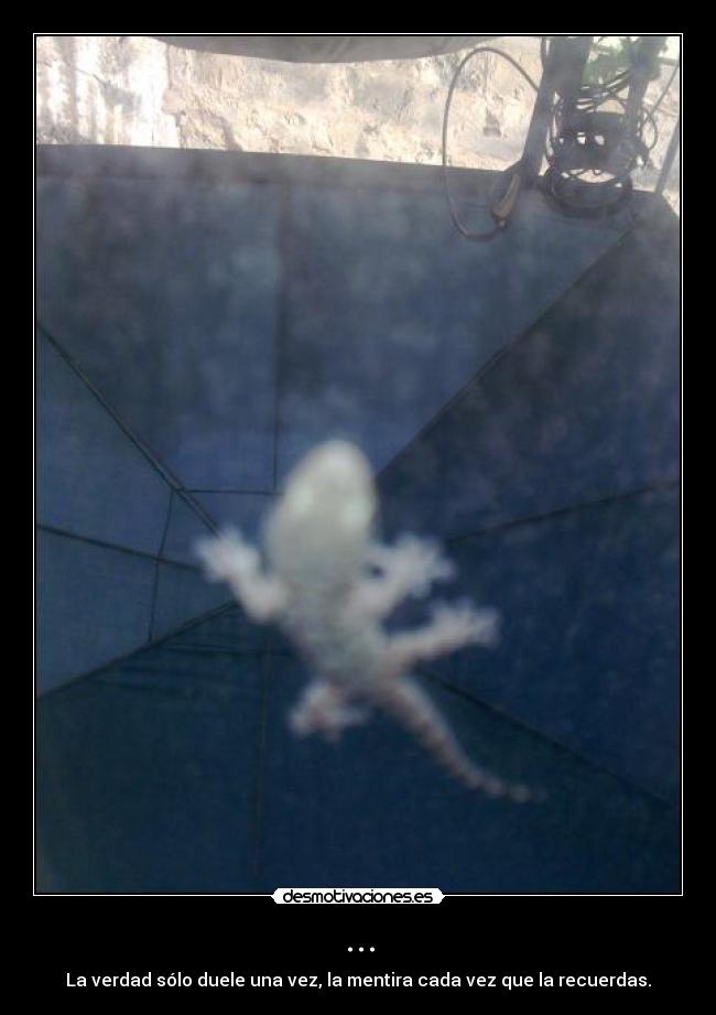 ... - La verdad sólo duele una vez, la mentira cada vez que la recuerdas.