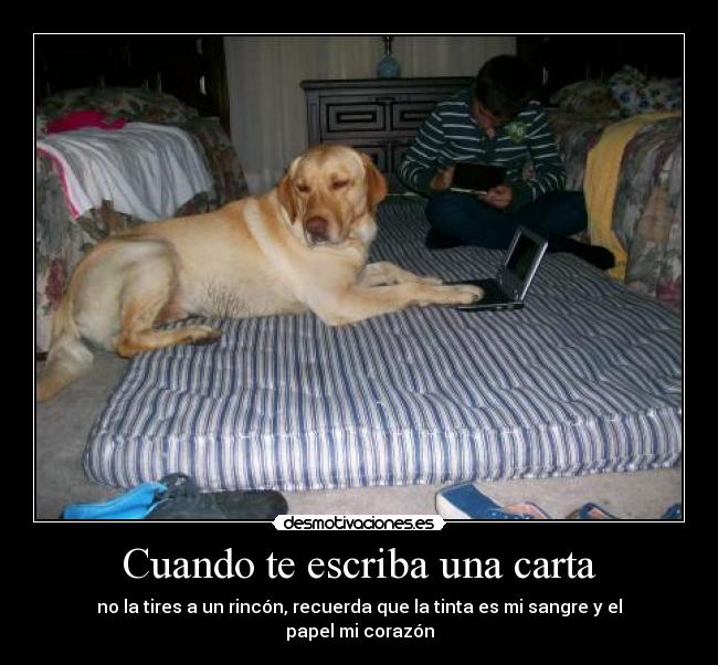 Cuando te escriba una carta - no la tires a un rincón, recuerda que la tinta es mi sangre y el papel mi corazón