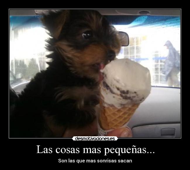 Las cosas mas pequeñas... -