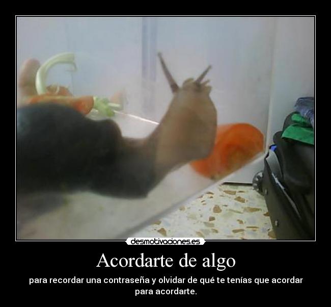 Acordarte de algo -