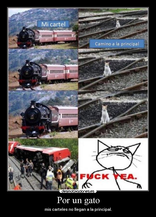 Por un gato - mis carteles no llegan a la principal.