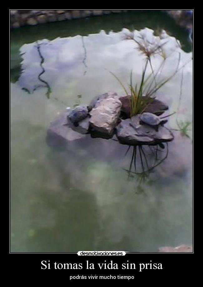 Si tomas la vida sin prisa -