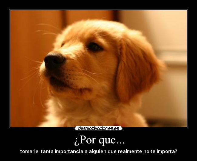 ¿Por que... - tomarle tanta importancia a alguien que realmente no te importa?