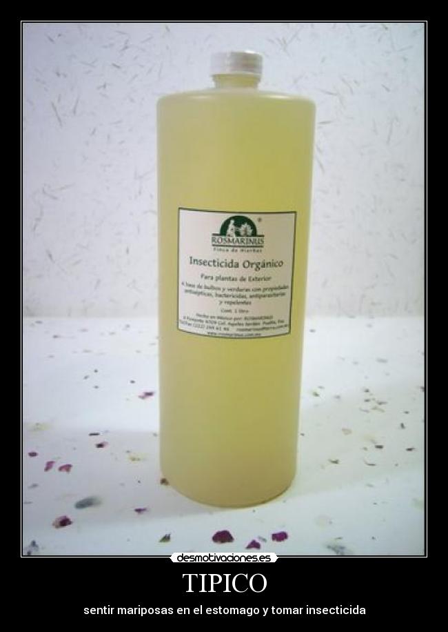 carteles angielmaartinez desmotivaciones