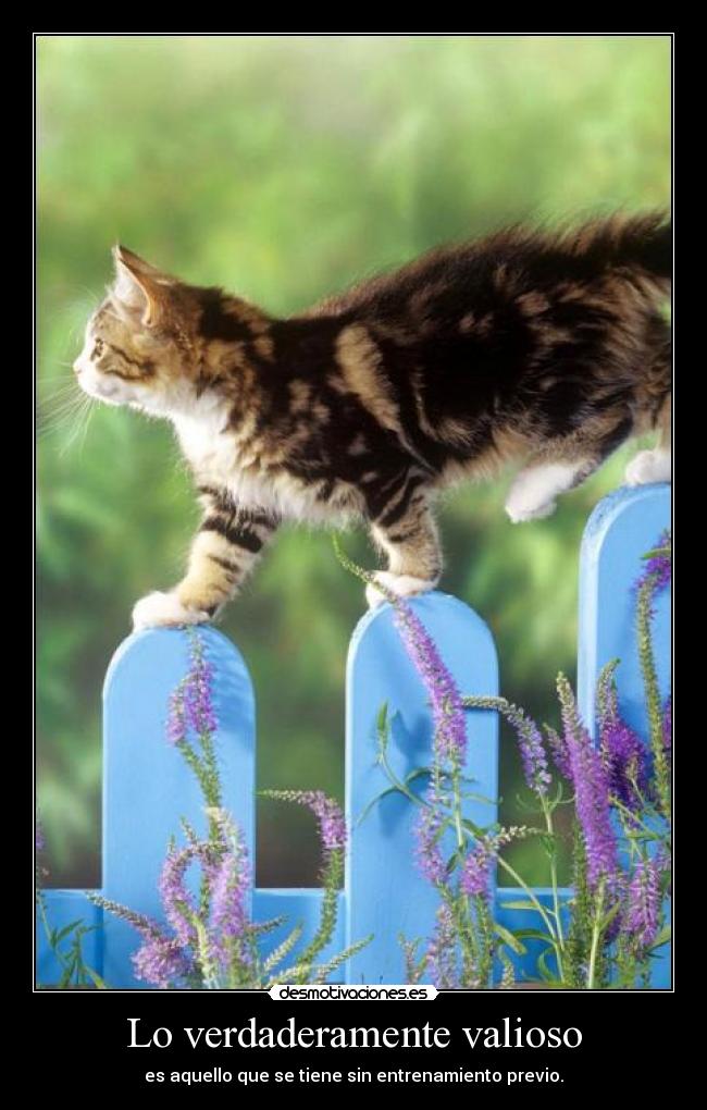 Lo verdaderamente valioso - es aquello que se tiene sin entrenamiento previo.