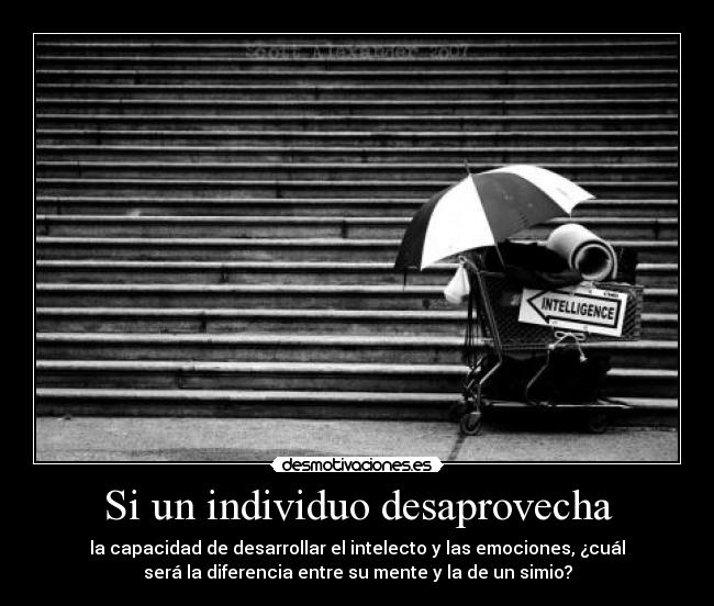 Si un individuo desaprovecha - 