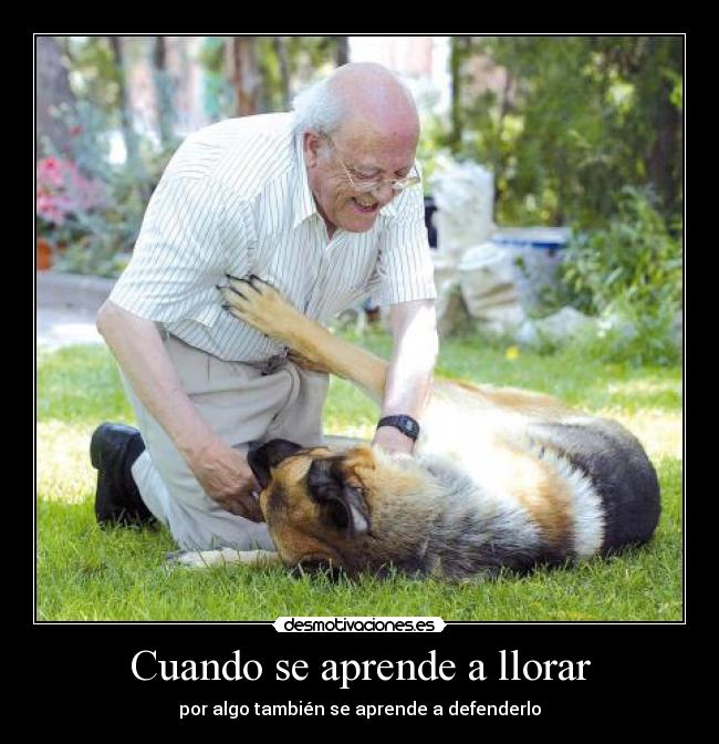 carteles llorar nek desmotivaciones