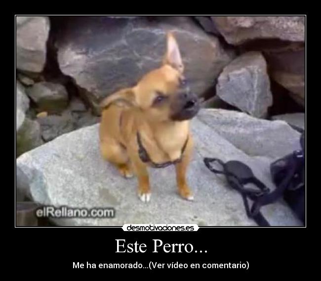 carteles arrrg desmotivacionesesconb desmotivaciones