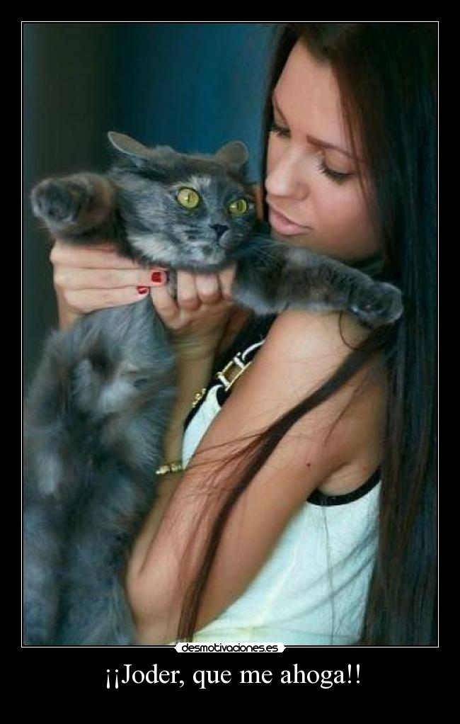 carteles esta ahogando nomiresaqui kixking desmotivaciones