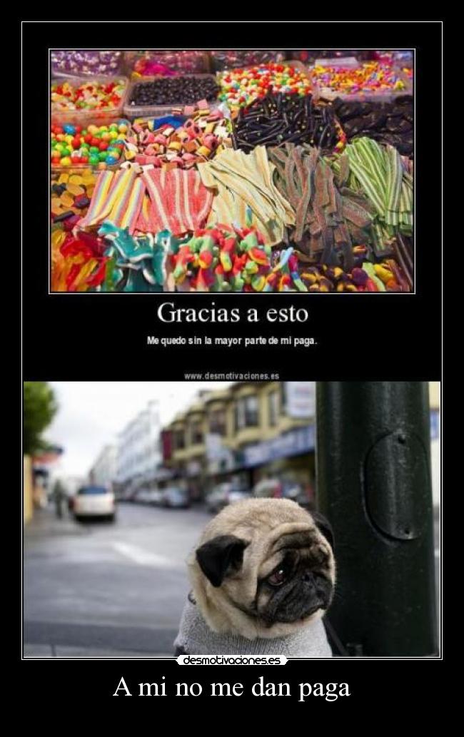 carteles paga perrito dulces ahsgd fdgdf desmotivaciones