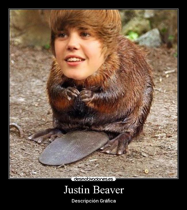 Justin Beaver -