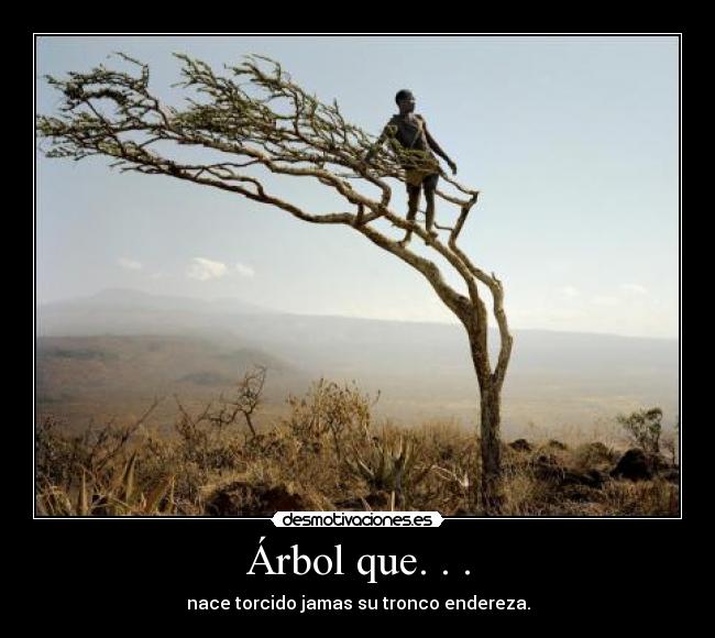 Árbol que. . . - 