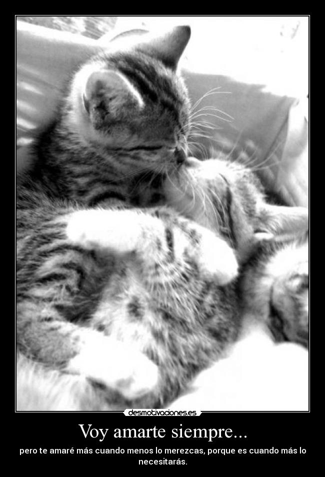 Voy amarte siempre... -