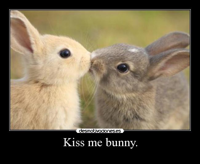 Kiss me bunny. -