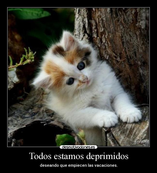 Todos estamos deprimidos -