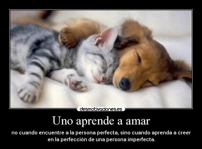 Uno aprende a amar -