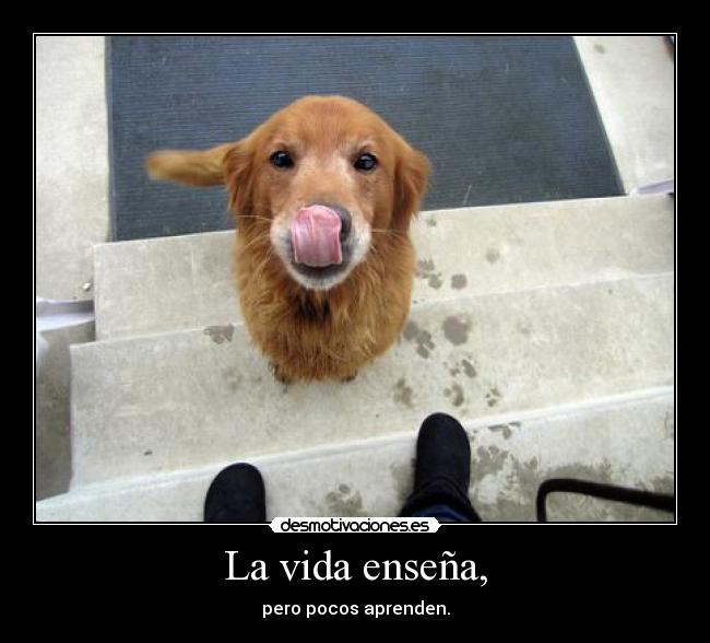 La vida enseña, -
