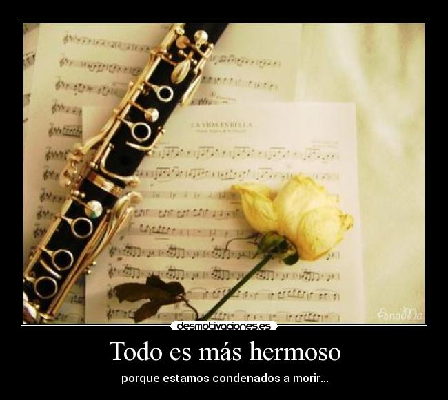 carteles todo mas hermoso porque estamos condenados morir desmotivaciones