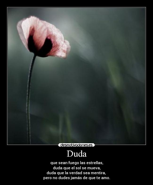 Duda -