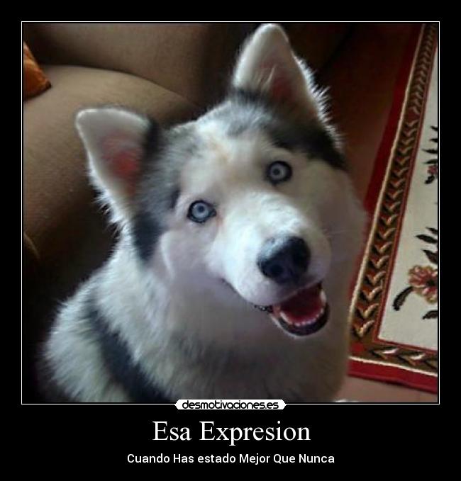 Esa Expresion - Cuando Has estado Mejor Que Nunca