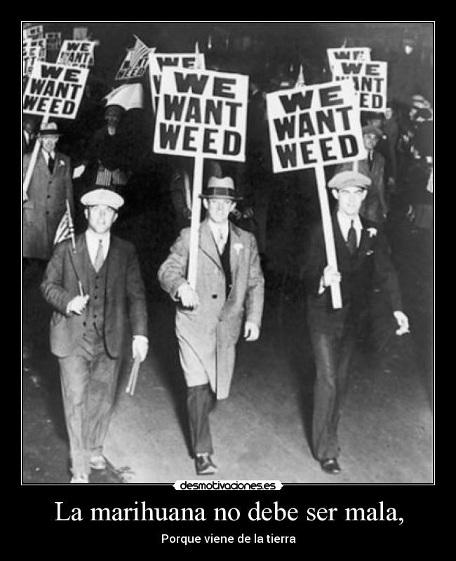 La marihuana no debe ser mala, - Porque viene de la tierra