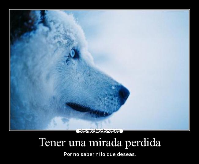 carteles robertico demasiadas dudas asquerosas desmotivaciones