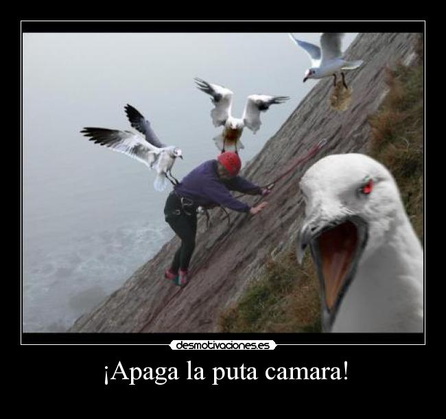 ¡Apaga la puta camara! -